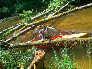 Łęczyce kajaki, kajaki łeba, spływ kajakowy po łebie, kajaki bożepole